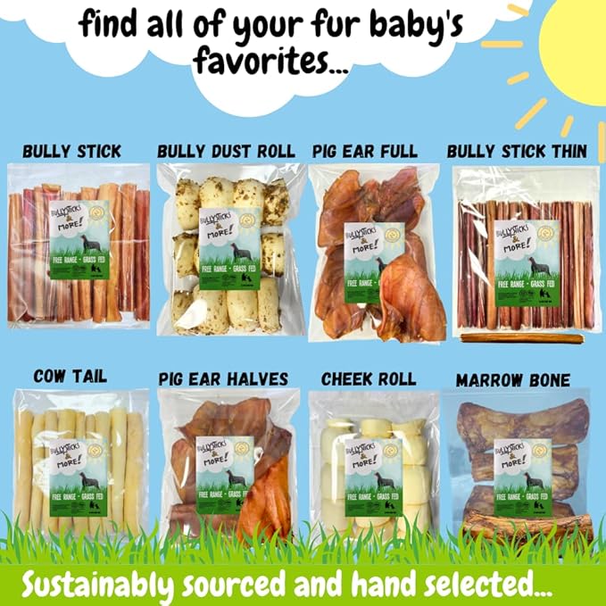 BULLYSTICKS & MORE 6 Inch Bully Sticks (Jumbo/Thick - 12 Count) | Bully Sticks for Large Dogs | 100% Grass Fed Beef | Dog Parents Choice Bully Stick Dog Chews | No Hide Bully Bones for Dogs