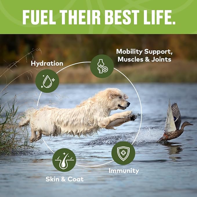 Beef Mobility Support Bone Broth Concentrate for Dogs - Collagen Protein Supplement - Boosted w/Amino Acids, Glucosamine, and Chondroitin - Dog Food Topper - Human Grade (2pk, 40 Servings)