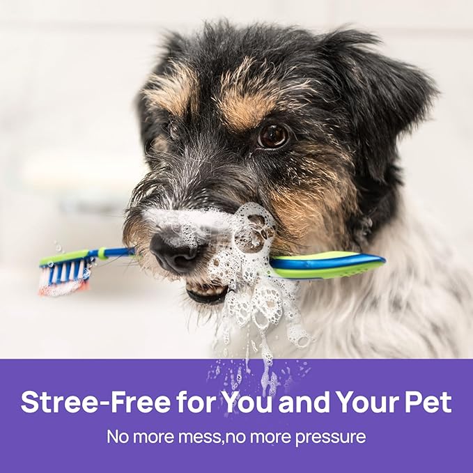 HICC PET Dog Dental Care Spray, Breath Freshener & Teeth Cleaning Spray, Dog Gingivitis Treatment, Prevent Bad Breath & Infections, Relieve Gum Redness, Reduce Plaque & Tartar, No Brushing, 5.1 Fl Oz