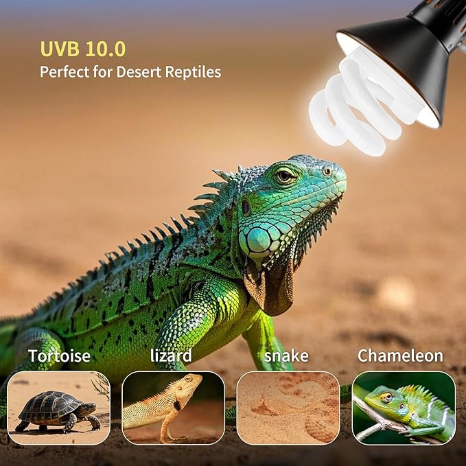 UVB Light Bulb for Reptiles, 9W 5.0 UVA UVB Heat Lamp Bulbs Ideal for Rainforest Reptiles, Bearded Dragons Lizard Turtle Tortoise Iguanas Chameleons Snake (1 Pack)