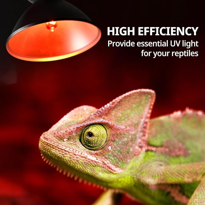 Reptile Heat Lamp Fixture 50W,Dome Reptile Light Fixture with 5PCS Halogen Heat Bulb,G9 UVA Basking Lamp E26 Lamp Socket for Turtle,Gecko,Lizard,Snake,Tortoise,Bearded Dragon,Frog