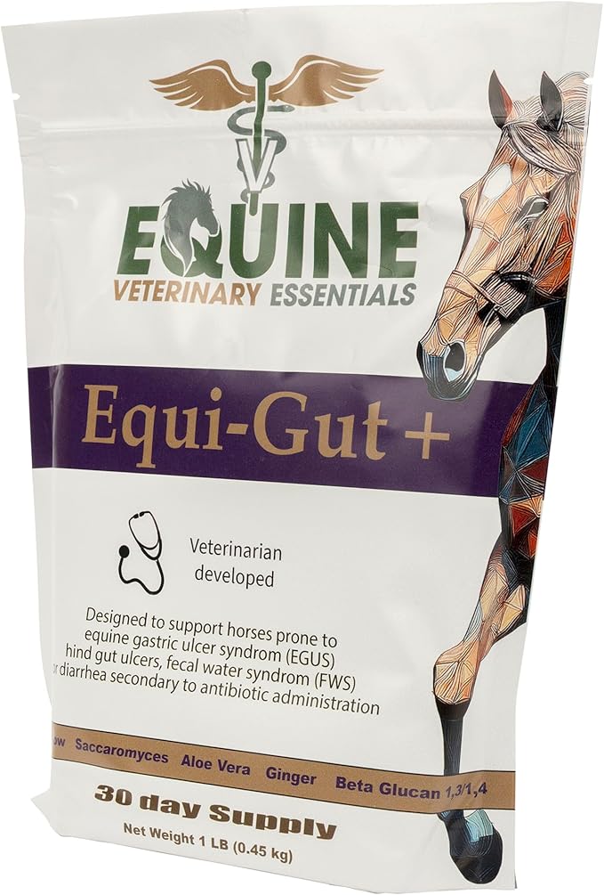 Equi-Gut+ Equine Gut Health Supplement – Probiotic & Prebiotic Digestive Support for Horses – Improves Nutrient Absorption & Reduces Digestive Discomfort – 1 lb Powder Formula