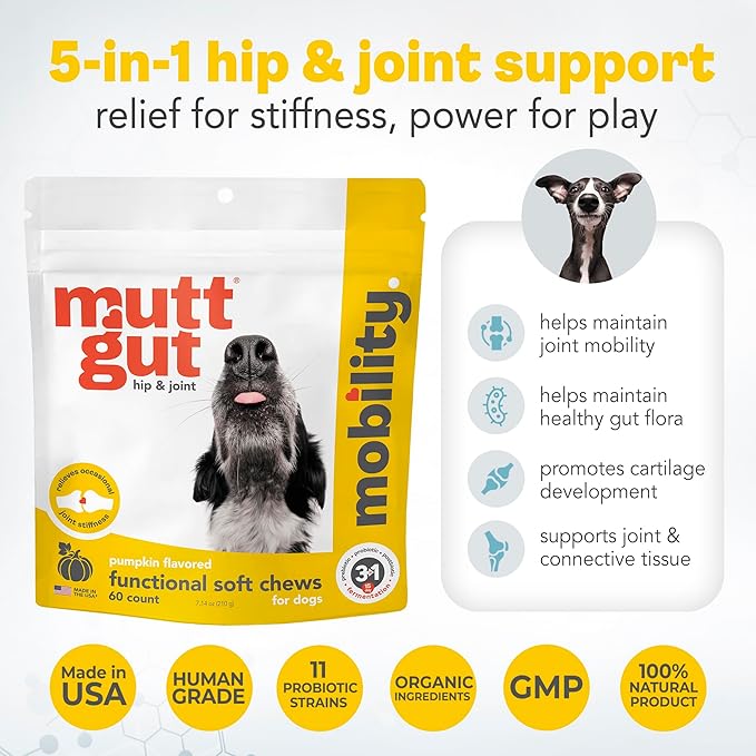 MuttGutยฎ Mobility Chews for Dogs - Glucosamine Chews with MSM, Turmeric & Algae Oil Powder - Joint Support & Hip Health Supplement for Dogs - Vet Recommended, cGMP Certified - 60 Soft Chews