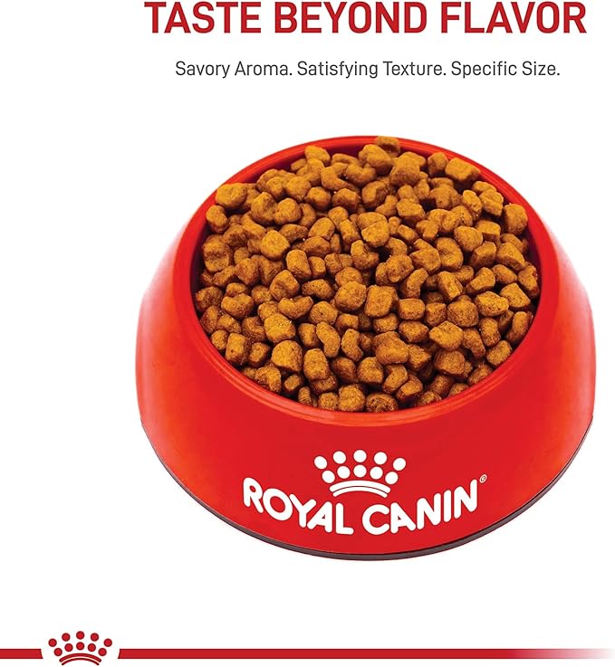 Royal Canin Breed Health Nutrition Shih Tzu Puppy Dry Dog Food, 2.5 lb Bag