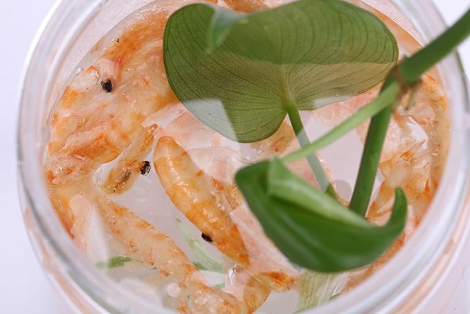 Premium Freeze-Dried Krill & Shrimp Mix - Ideal for Arowana, Koi, Tropical Cichlids, and Turtles - High-Protein Floating Aquarium Food (2000ml)