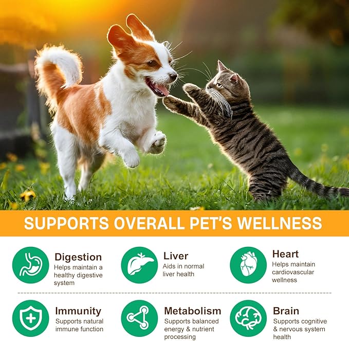 Mushroom Supplement Powder for Dogs & Cats, 11 Beneficial Mushroom Complex for Immune Support, Cellular Protection, Heart & Brain Health Lion's Mane, Reishi & Turkey Tail, Bacon Flavor - 120g