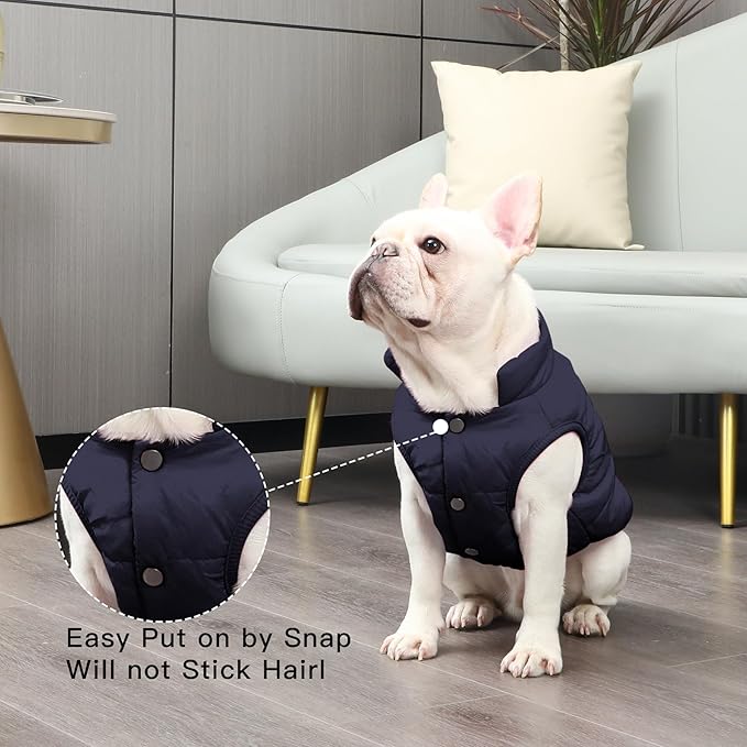 2 Layers Fleece Lined Warm Dog Jacket for Winter Cold Weather,Soft Windproof Large Dog Coat,Blue XXXL