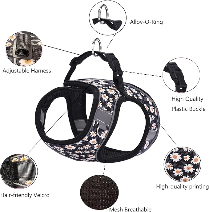 Small Dog Harness and Leash Set, Step in Dog Harness No Pull for Walking Running Training, Puppy Essentials for Dogs Cat Bunny, Adjustable Reflective Dog Vest Harness. (Black, M)