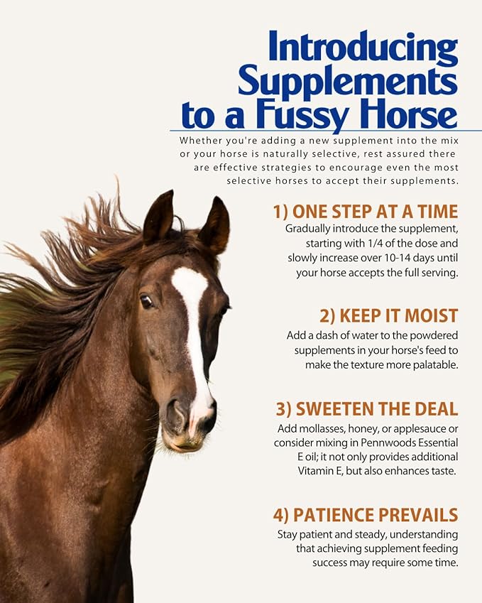 Organic Essential Mag, Magnesium for Horses Supplement, Aids in Glucose Metabolism, Reducing Stress and Provides Calm for Your Horse, 5 LB Bag