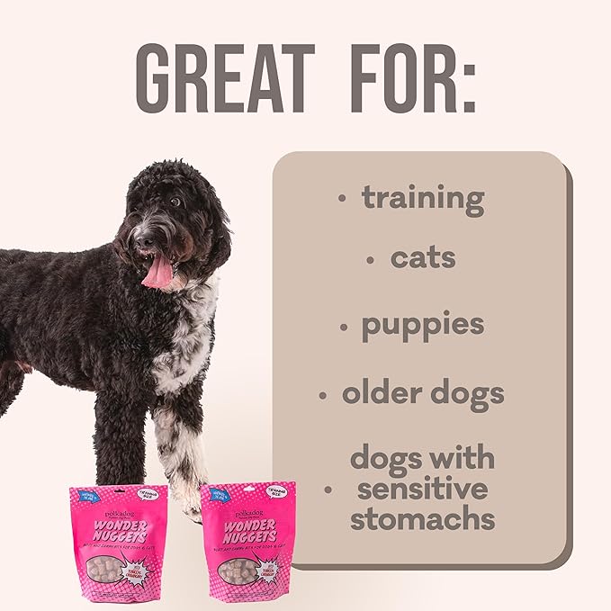 Polkadog Turkey & Cranberry Wonder Nuggets Dog Treats – All-Natural Pet Training Treats for Dogs – Healthy, Handmade Puppy Snacks – Bite-Sized, Soft, Chewy Treats for Pets – 10 oz