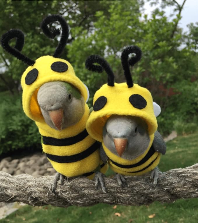 Bird Costume Diaper Flight Suit Bee Shape Clothes Cosplay Photo Prop for Parrots Lovebird Budgie Parakeet Cockatiel Sun Conure, Small Animals Apparel (Bee Without, Small), Green, BPF1