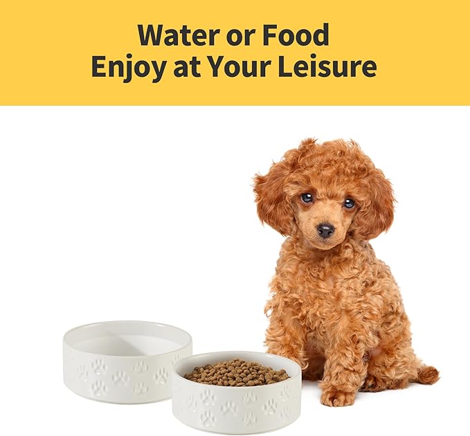 3.5 Cup Ceramic Dog Bowl Set with Anti-Slip Rings for Small Breed Dogs, 6" Food and Water Bowls, Pet Dishes for Small-Sized Dogs (Double Bowls - White, 6 inch)