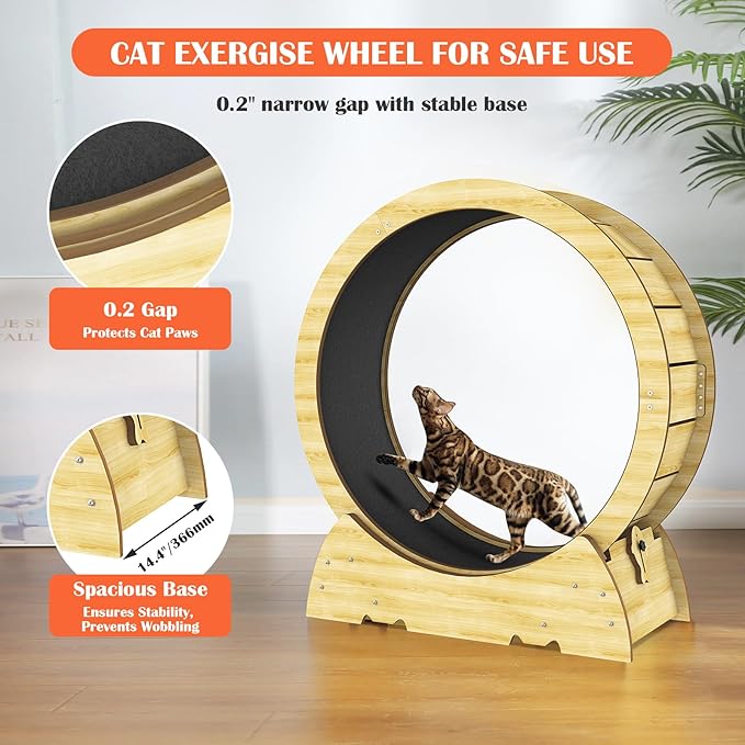Cat Exercise Wheel for Indoor Cats, 36" Cat Treadmill Wheel with Detachable Carpeted Runway, Natural Solid Wood Sturdy Running Wheel for Running/Training/Walking, Suitable for Most Cats