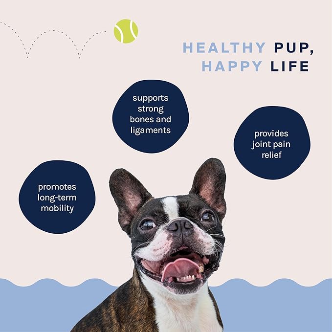 Good Trouble Pets Hip & Joint Supplement for Dogs - Bacon & Chicken Flavor, 30 Chews - Enhance Joint Health & Mobility for Your Canine Companion (Packs of 3)