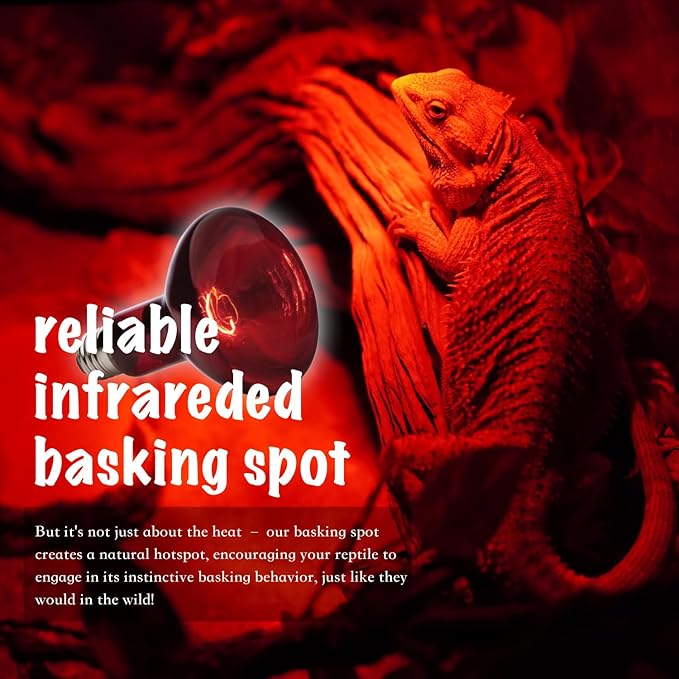 Reptile Heat Lamp, 2 Pack 75W Intense and Infrared Basking Bulbs Light for Reptiles, UVA Daylight Night Red Basking Light for Bearded Dragon, Lizard, Gecko,Reptile Heat Bulb