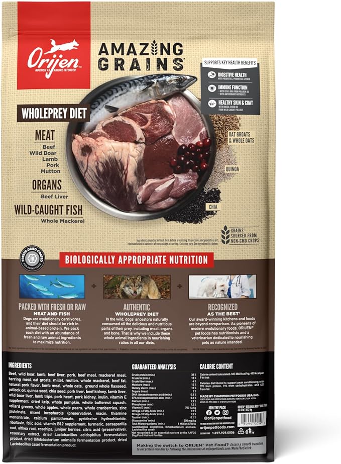 ORIJEN Amazing Grains High Protein Dry Dog Food Regional Red Recipe 22.5lb Bag