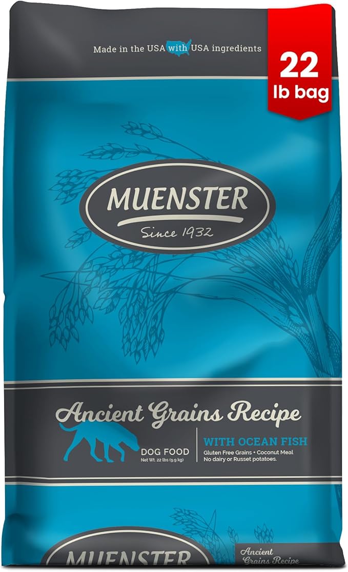 Muenster Ancient Grains Ocean Fish Dry Dog Food, 22lb - Gluten-Free, High Protein, Digestive Support