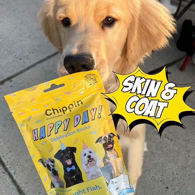 Chippin Dog Birthday Soft Treat, Great Gift, Wild-Caught Fish, Pumpkin Jerky for Dogs, No Chicken, Grain-Free, Hypoallergenic | Made in USA