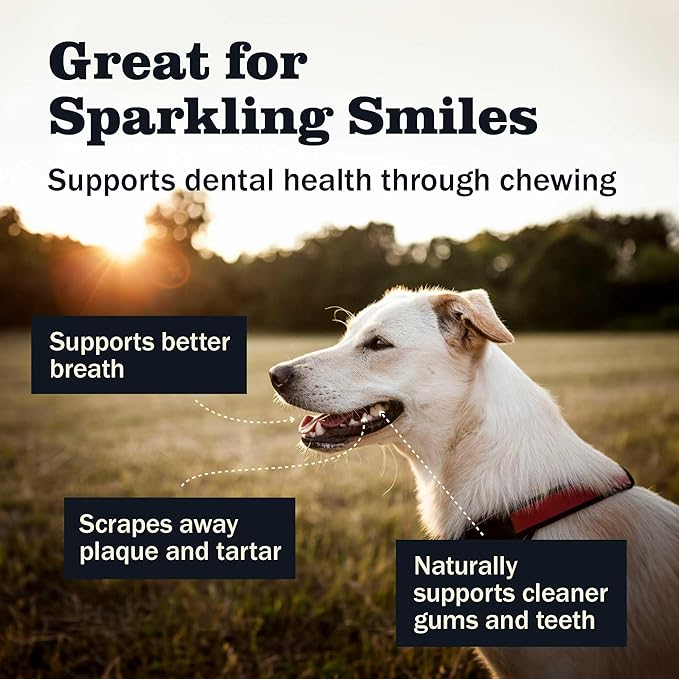 Redbarn Pet Products All Natural 4-5" Bully Sticks for Small & Medium Dogs - Healthy Long Lasting Chews Variety Party Pack - 100% Beef Single Ingredient Low Odor Rawhide Free - Bag, 12oz