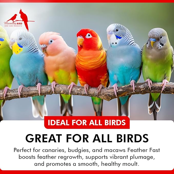 Morning Bird Feather Fast 3 lbs – Multi-Vitamin During Molt - Molting Support Supplement for Bird – Amino Acid & Vitamin Powder Formula– Promotes Feather Growth, and Full Plumage – for All Adult Birds