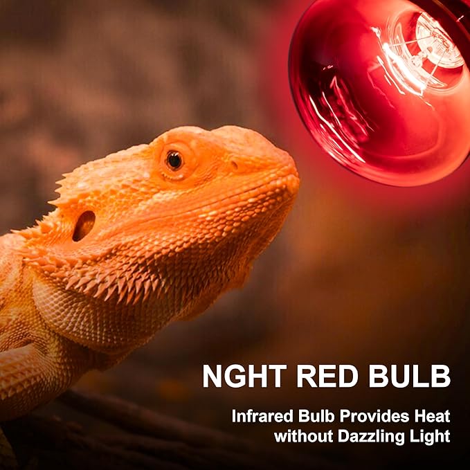 Heat lamp Bulbs Day & Night Combo, 100 Watt UVA Daylight Basking Spot Light and Red Infrared Heating Light for Bearded Dragon, Turtle, Lizard, Snake, Tortoise, Chameleon, Amphibians - 2 Pack