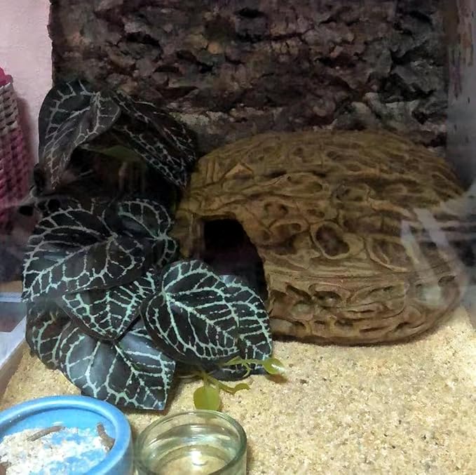 Reptile Plants for Terrarium,Amphibian Habitat Decor,Artificial Plants for Gecko Chameleon Snake Tortoise Bearded Dragon Tank Accessories with Base(Anthurium Crystallinum)