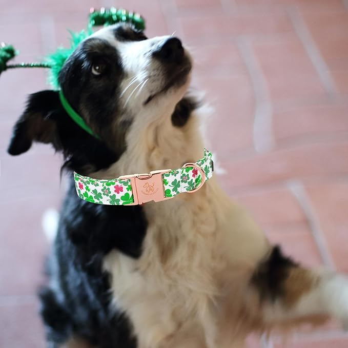 Elegant little tail St Patrick's Dog Collar, Green Clover Pet Collar Cotton Holiday Pet Collar Cute Puppy Collar Adjustable Pet Dog Collars for Medium Dogs