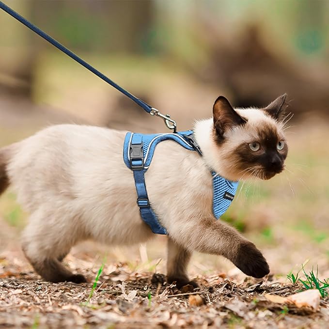 Cat Harness and Leash Set for Walking Escape Proof, Improved Four Place Adjustable Cat Car Harness, Soft Kittens Vest with Reflective Strip for Cats, Comfortable Outdoor Vest, Blue, XS