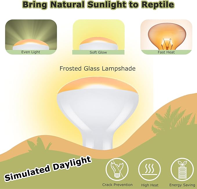 75W Reptile Heat Lamp Bulbs, 2.5 Inch UVA Amphibian Basking Spot Light for Bearded Dragon, Lizard, Tortoise & Chicks – Simulated Sunlight, Daylight Bulb for Aquariums and Tanks | 2 Pack
