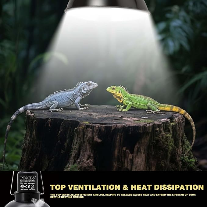 8.5-inch Standard lamp Dome for Reptile Heating Lamps, Object Heat Ceramic Heat emitters, up to 200W for Bearded Dragons Turtles Snakes and Lizards Lamps E26