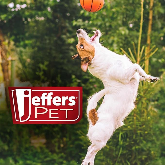 Jeffers Pet Plush Dog Toy with Squeaker, Fuzzy Star 8" - Soft Crinkle Fabric, Safe & Durable, Healthy Fun for Small & Medium Dogs, Interactive Play, Fetch, Tug - Best Gift for Active Games