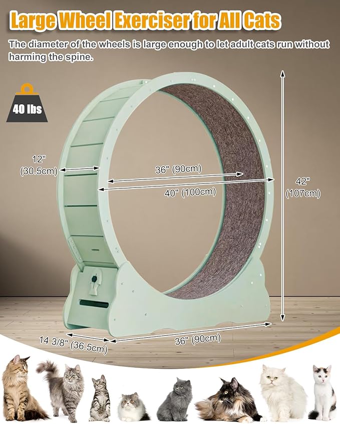 Large Cat Exercise Wheel 43 Inch - Mint Green Solid Wood Exerciser for Indoor Cats, Safety Treadmill with Lock & Minimized Gap Design