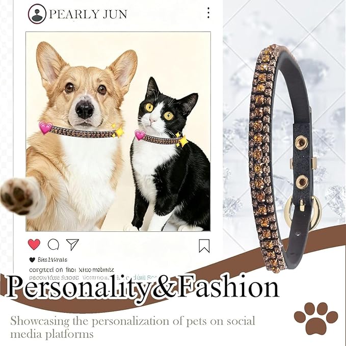 PEARLY JUN Rhinestone Dog Collars for Small Dogs Cat, XS Champagne Bling Diamond Cat Collar Cute Luxury Crystal Pet Puppy