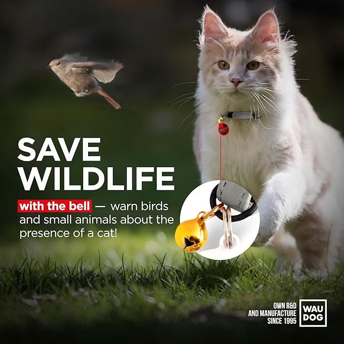 Leather Cat Collar with Bell & Elastic Strap - Pet Collar Leather - Leather Kitten Collar - Cats Small and Big Cat Collar for Boy Cats, Girl Cats with Safety Elastic Strap (Gray, 6" - 8")