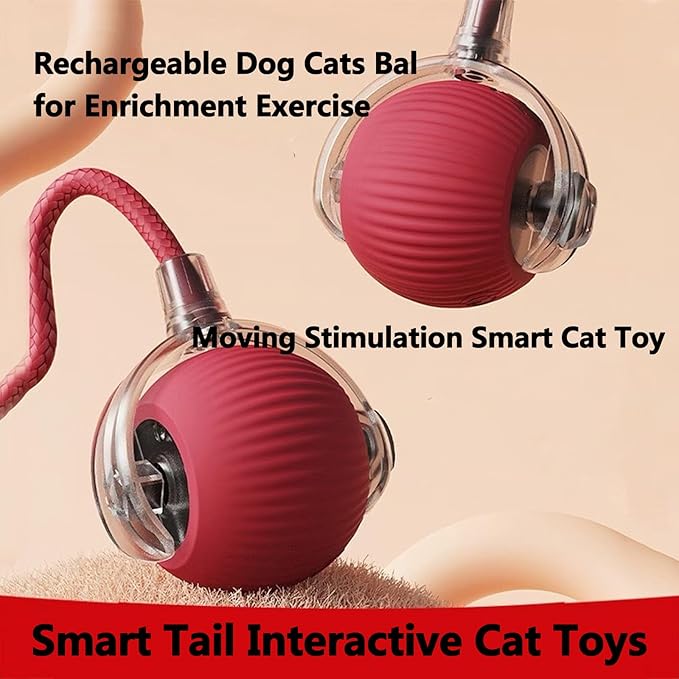 Nestoly Cat Toy, Indoor Automatic Moving Interactive Cat Toy Ball, Smart Cat Wheels for Indoor Cats, Chirping Motion Activate Cat Toys Best for Bored Solve Your Cat's Boredom in Seconds