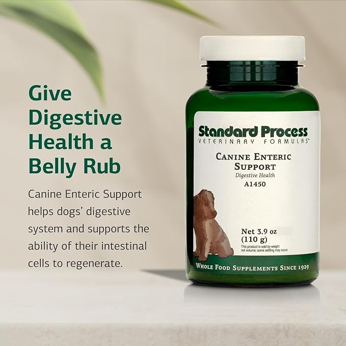 Standard Process Canine Enteric Support - Digestive System Support for Dogs - Nutritional Dog Supplement for Gut Health - Canine Supplement Formula to Aid Healthy Digestion - 110 g