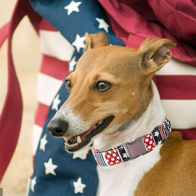 Elegant little tail Independence Dog Collar, Holiday Pet Collar Patriotic Dog Durable Dog Collars Girl or Boy Soft Pet Gift Adjustable Dog Collar for Small Medium Large Dogs