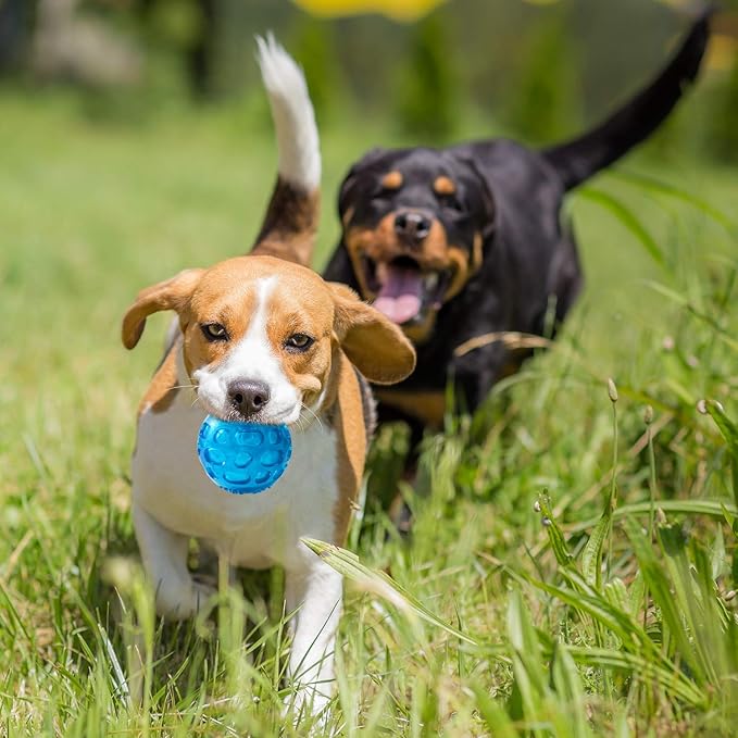 3'' Squeaky Dog Toy Balls for Lagre Medium Breed, Indestructible Dog Balls for Playing, Fetching & Retrieving, Durable Aggressive Chewers, 2 PCS Green