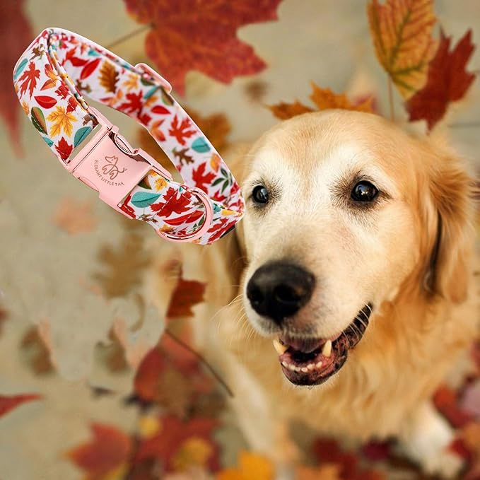 Elegant little tail Fall Dog Collar, Autumn Leaves Pet Collar Durable Dog Collars Male or Female Holiday Pet Gift Adjustable Dog Collar for Large Dogs
