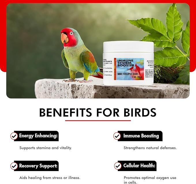 Morning Bird Immune System Booster 1 Oz - Energy Supplement for Birds – Natural Amino Acid Powder – Boosts Stamina, Cellular Health & Oxygen Use – Vitamin Powder for All Bird Species