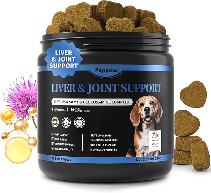 Liver Health Supplement for Senior Dogs - Joint Health Support with Silybum Marianum, SAMe, Krill Oil, Glucosamine, B Vitamins Complex, MSM, Choline for Old Dogs, Chicken Flavor - 90 Soft Chews