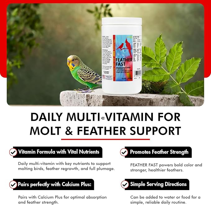 Morning Bird Feather Fast 16 Oz – Multi-Vitamin During Molt - Molting Support Supplement for Bird – Amino Acid & Vitamin Powder Formula– Promotes Feather Growth, and Full Plumage – for All Adult Birds
