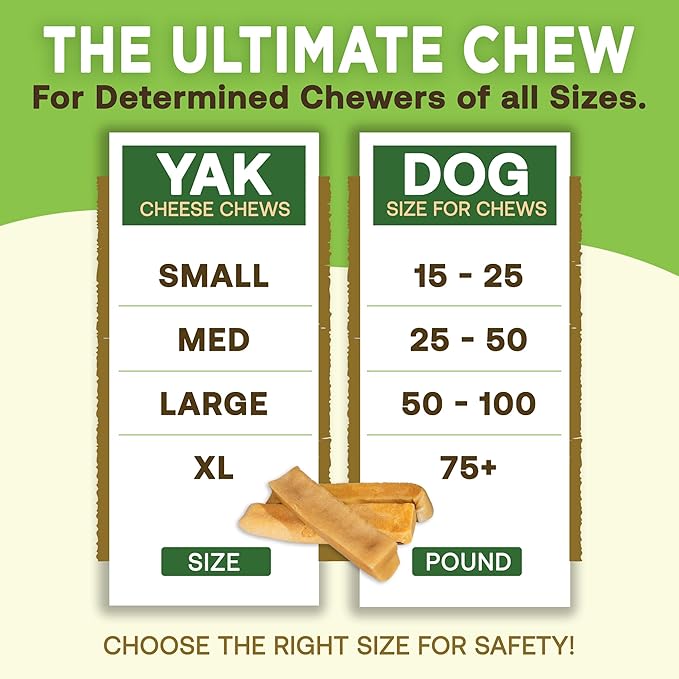 EcoKind Premium Gold Yak Cheese Himalayan Dog Chews, Dog Treats Large Breed, All Natural, High Protein Dog Chew, Cheese, Large - 1 Chew