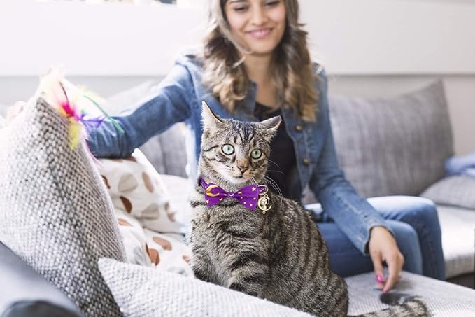 2 PCS Breakaway Cat Collar with Bow Tie and Bell Golden Moon Glowing Star in The Dark for Kitten(Black&Purple)