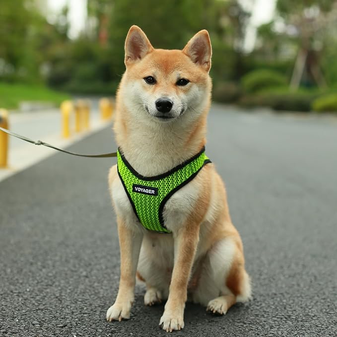 Best Pet Supplies - All Weather Mesh, Reflective, No Pull Harness for Small, Medium Dogs, Cats - Secure with Hook & Loop Fastener, Buckle, Double D-Rings - Lime Green 2-Tone, XL