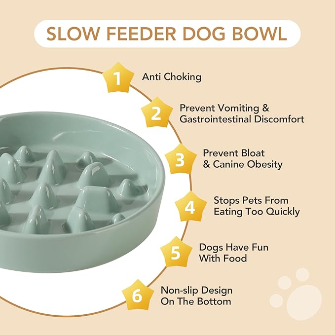 8.2inch Ceramic Dog Raised Slow Feeder Set, Elevated Bowl with Wooden Stand for Large and Medium Dog, Slow Feeder Dish for Fast Easters, Stop Bloat(Light Green, Single Bowl+ Stand)