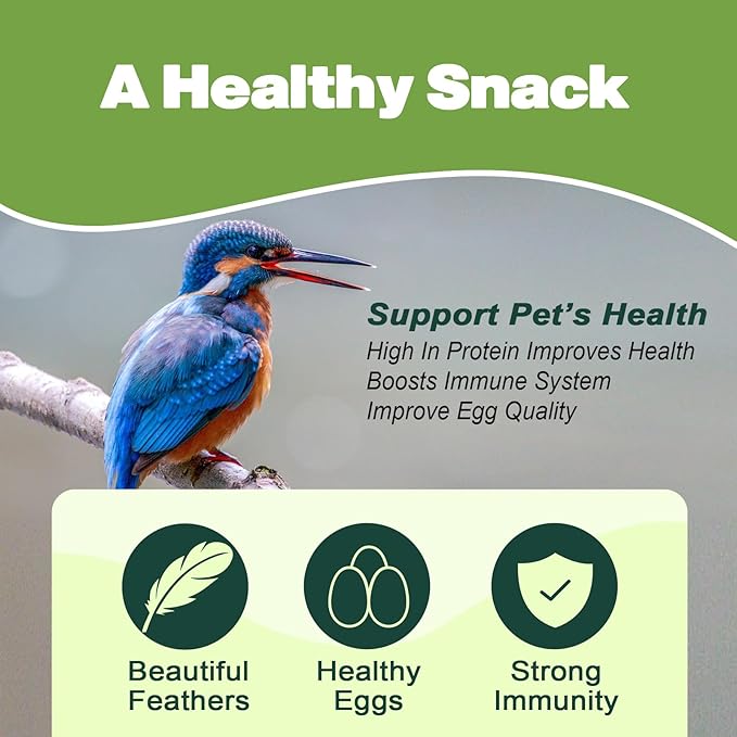 Dried Mealworms -11 LBS- 100% Natural Non GMO High Protein Mealworms - Bulk Mealworms for Wild Birds, Chicken Treats, Hamster Food, Gecko Food, Turtle Food, Lizard Food
