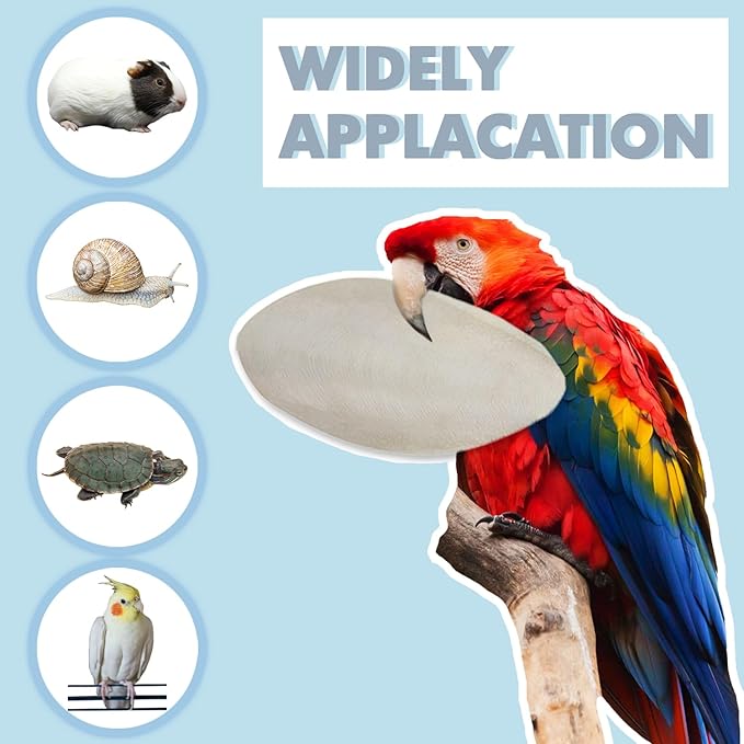 Jmxu's 3.5"-4" Cuttlebone for Birds Natural Cuddle Bone for Parakeets, Cuttlefish Bone for Sharp Beaks, Natural Birds Calcium for Parrot Cockatiels Budgie, 12Pcs