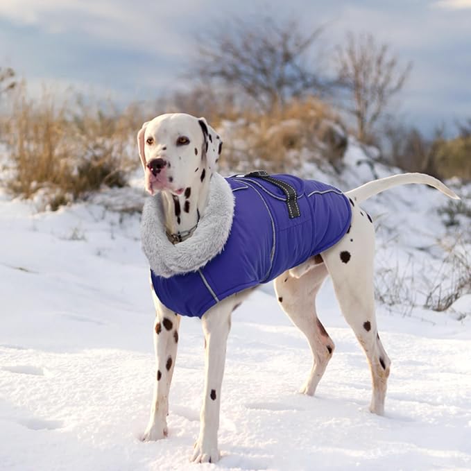 Lelepet Warm Dog Coat Reflective Fleece Vest Waterproof Dog Jacket with Adjustable Buckle Hook & Loop Windproof Cold Weather Coats for Small Medium Large Dogs, Blue, M