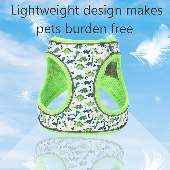 Small Dog Harness and Leash Set, Step in Dog Harness No Pull for Walking Running Training, Puppy Essentials for Dogs Cat Bunny, Adjustable Reflective Dog Vest Harness. (Green, S)
